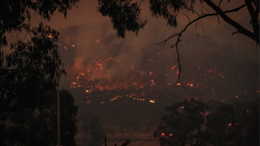 A bushfire can be seen glowing brightly as it burns across the side of a mountain at night