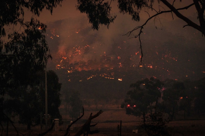 A bushfire can be seen glowing brightly as it burns across the side of a mountain at night