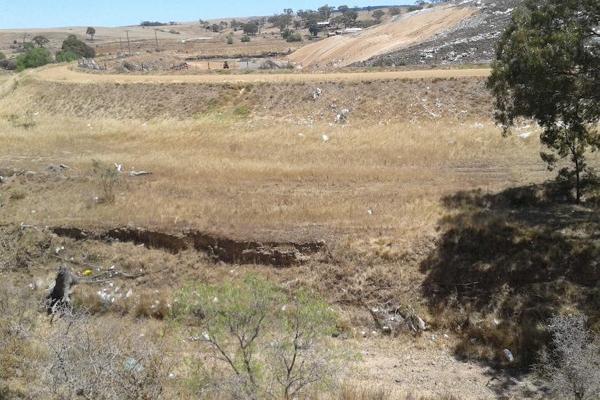 A large paddock that was once a coal mine sits unused, blue sky in the background