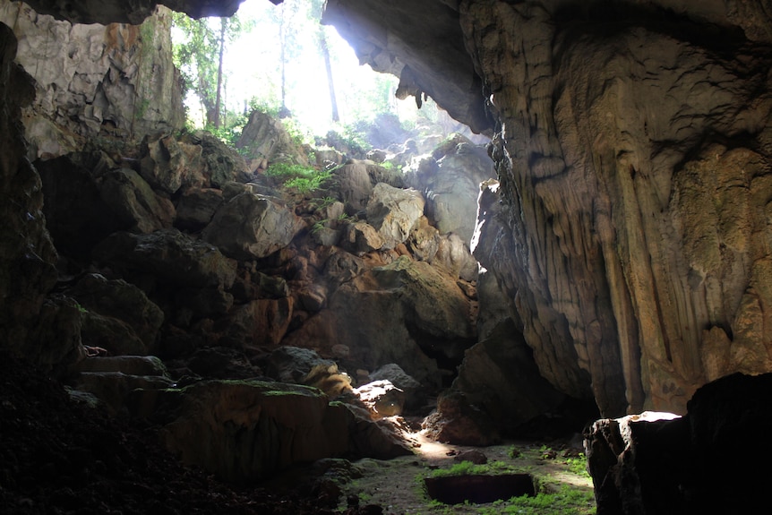Sunlight enters Tam Pa Ling cave's steep entrance