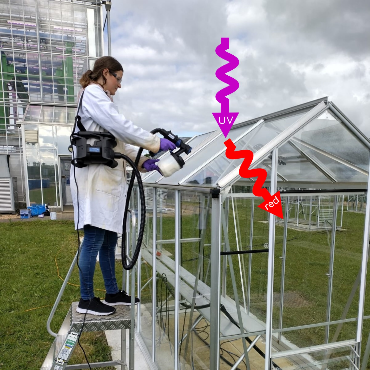 Greenhouse paint boosts usable light for plants