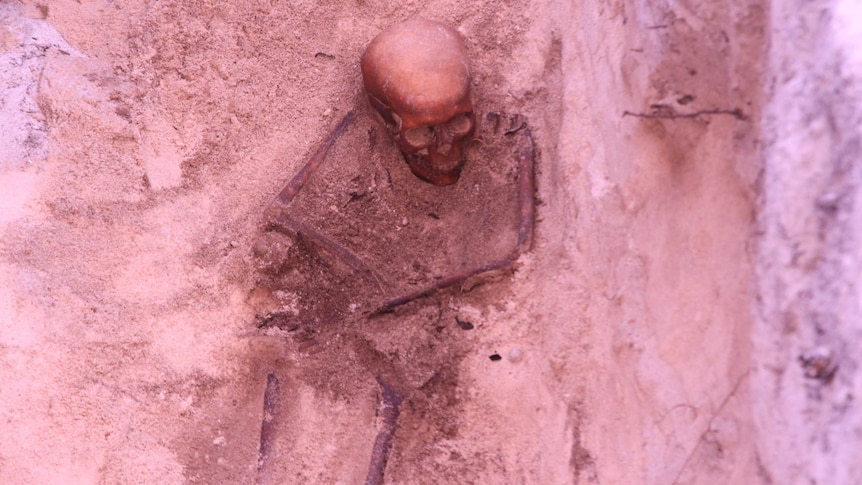 Beacon Island skeleton in grave