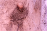 Beacon Island skeleton in grave