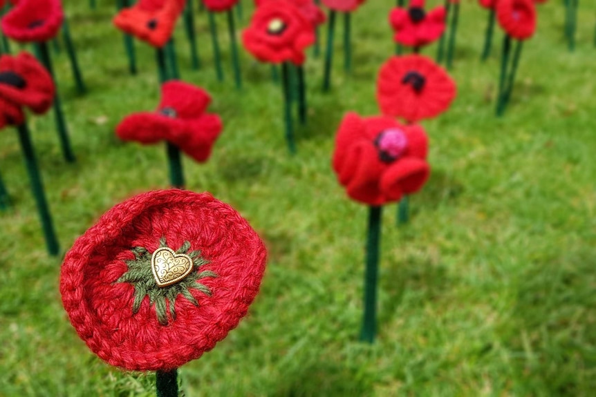 A knitted poppy with a love heart in the middle, surrounded by other poppies.