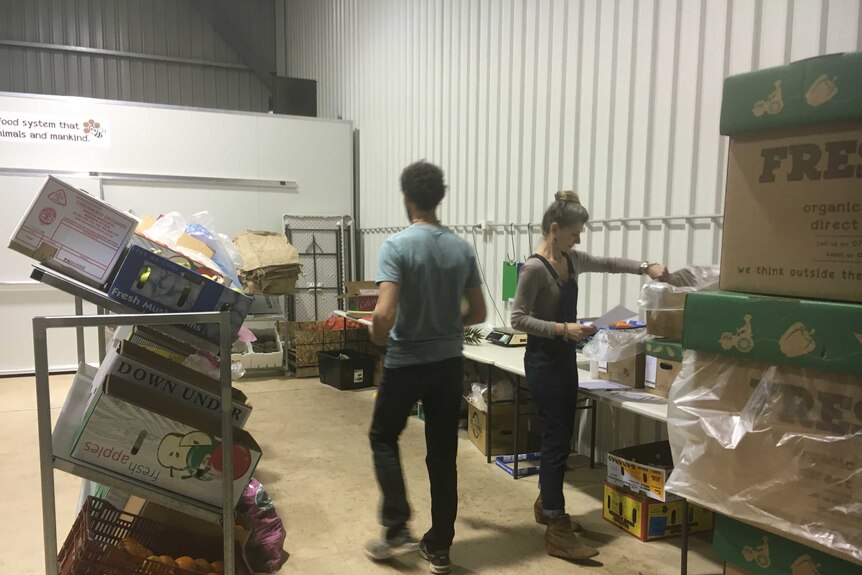 Georgie and Ben McKeown packing boxes with produce.