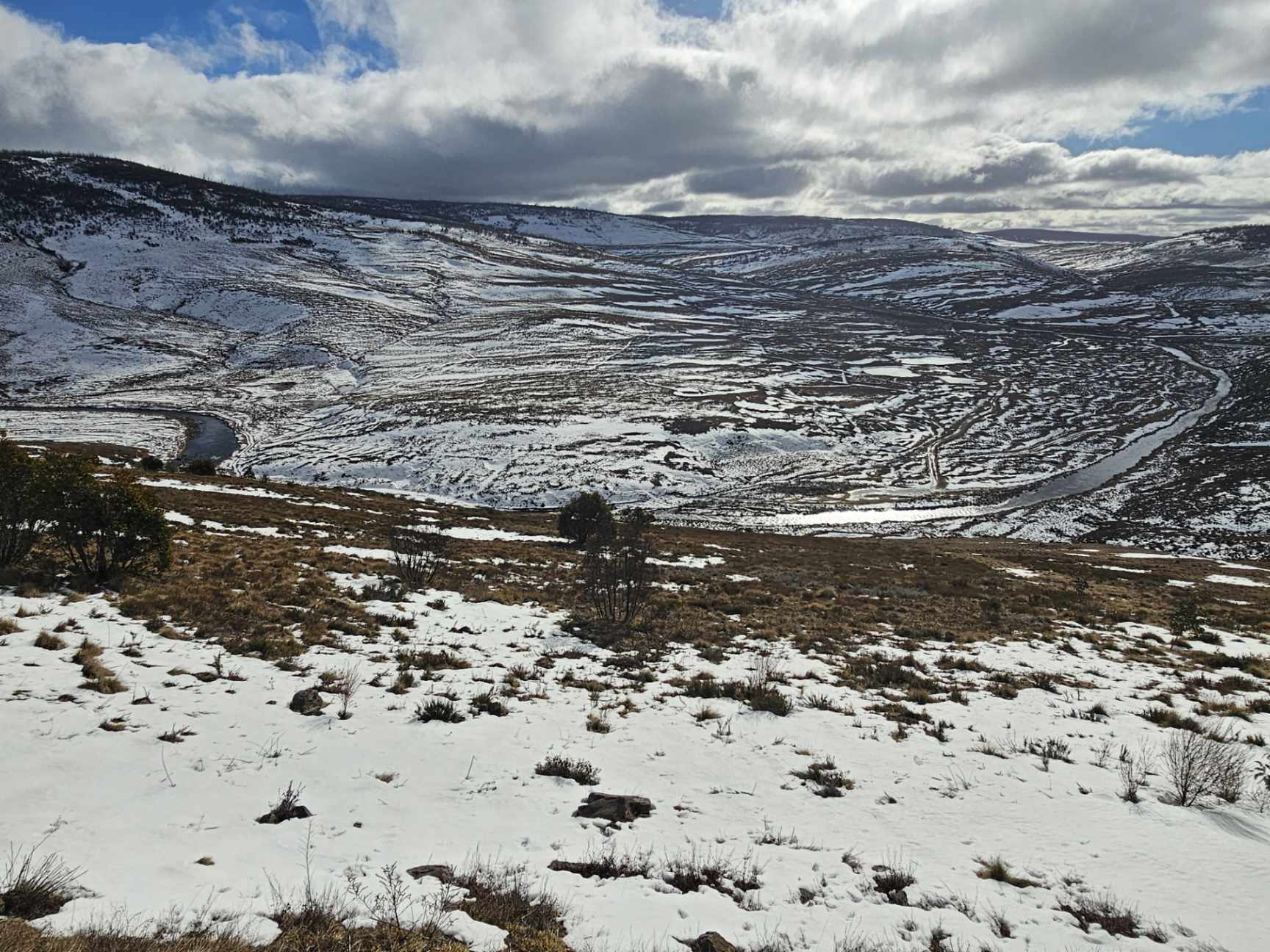 0d64f506fdd33c8196d72696bca86ea7?impolic