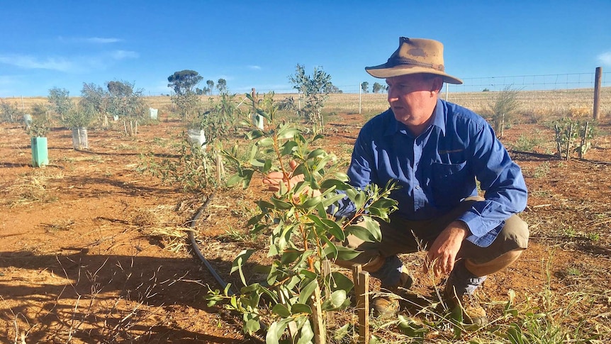 Chris Heinjus at his property in Freeling