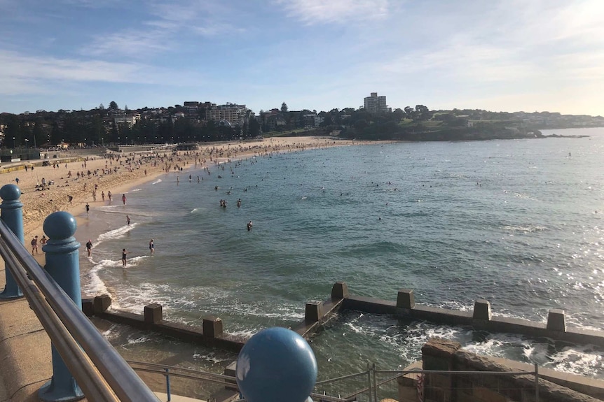 A beach with many people in the sea.