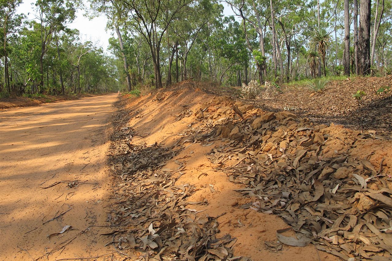Ramingining road gets funding - ABC News