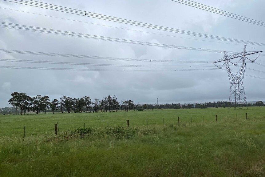 A paddock with a high voltage power line running through it.