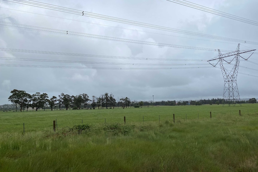 A paddock with a high voltage power line running through it.