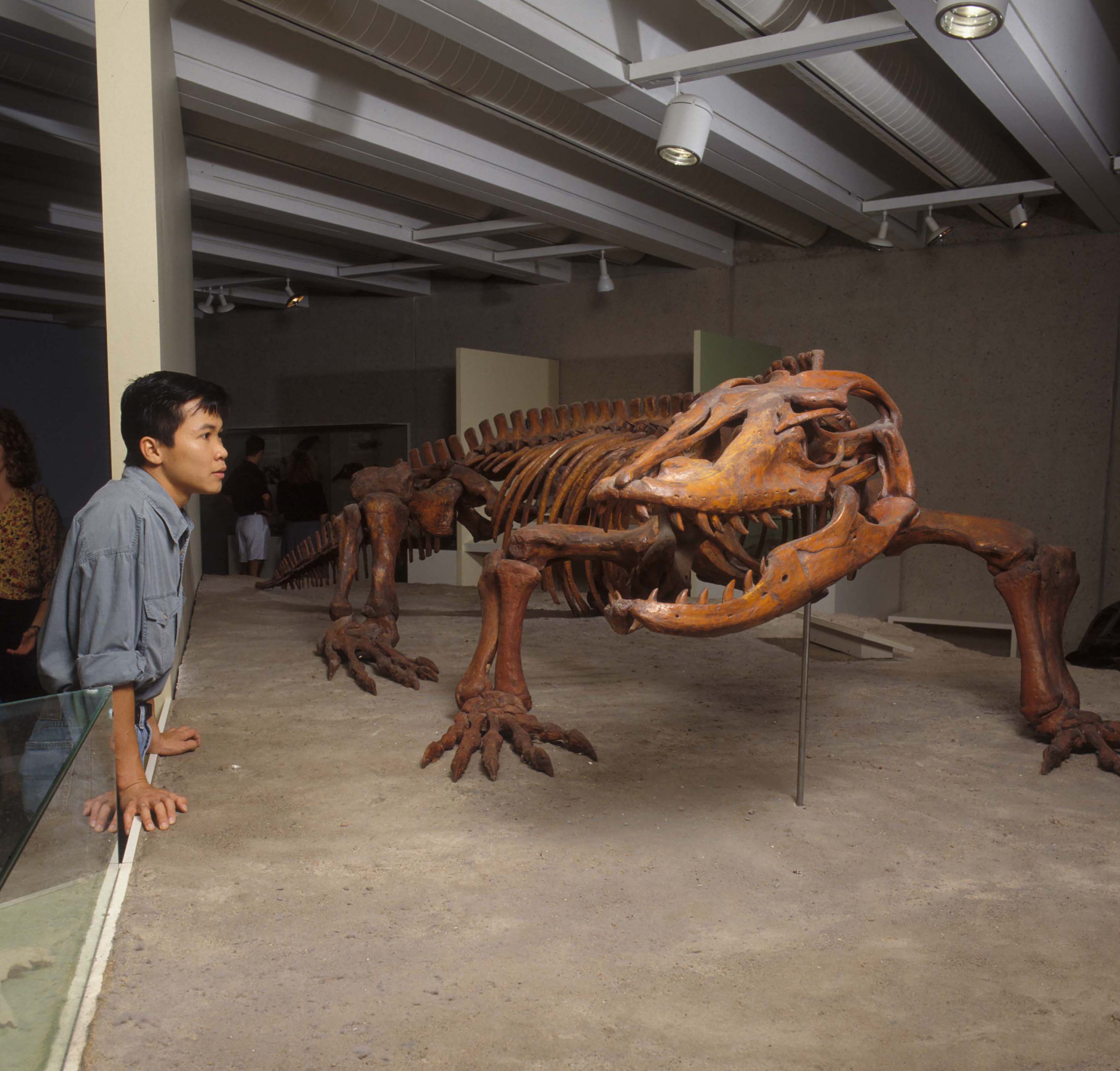 a sculpture of a lizard 