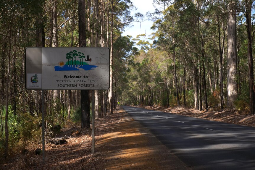 Road sign 'Welcome to WA's southern forest' on tree lined road