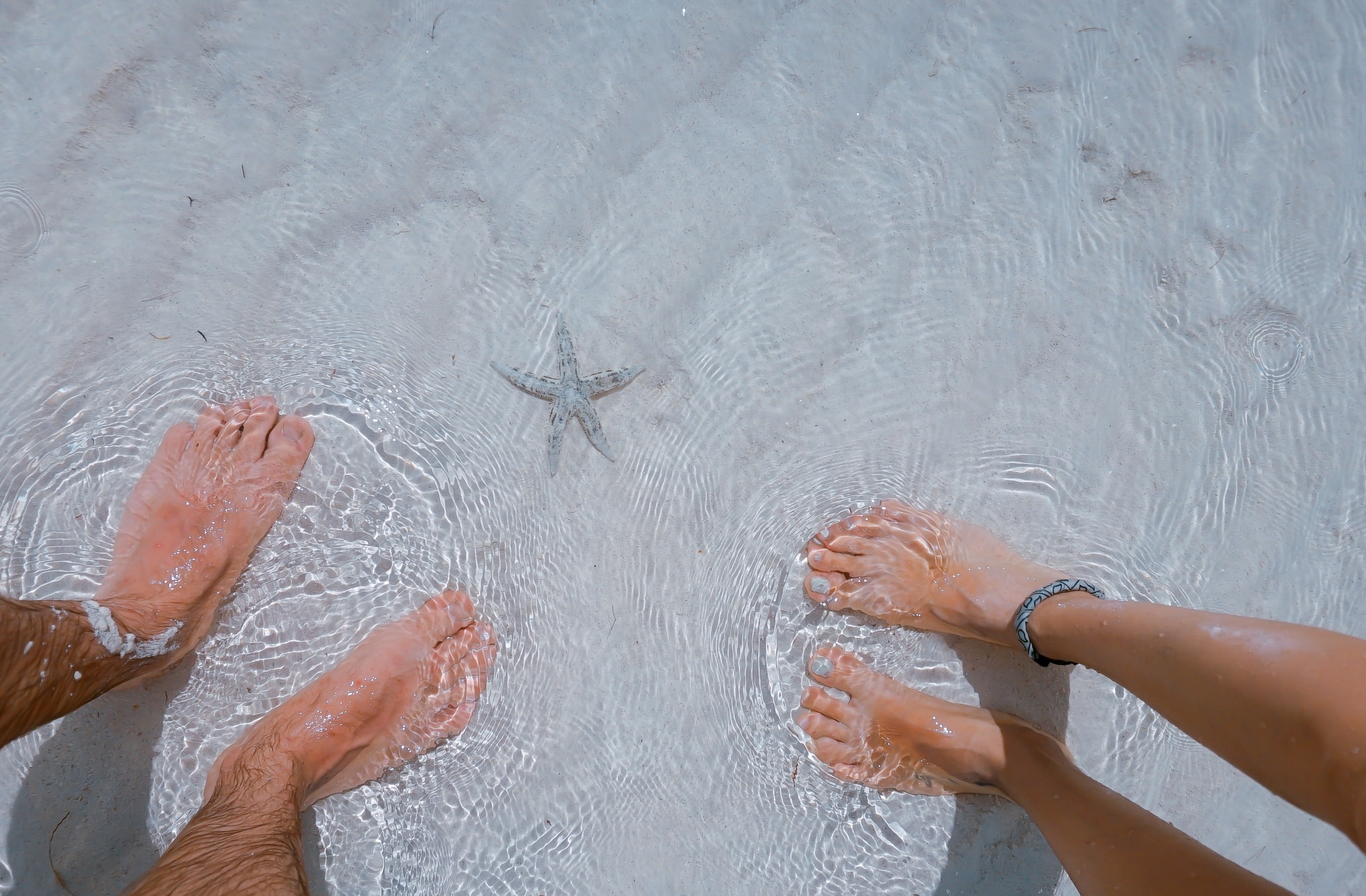 From above bodies from feet to mid-calf stand in shallow water on white sand, near a small starfish.