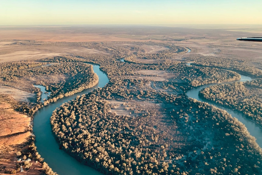 A photo taken from the air shows the Murray River snaking its way through parched brown land, south of Renmark.
