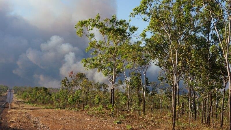 Bushfire in the Northern Territory