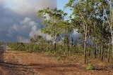 Fire in the Northern Territory