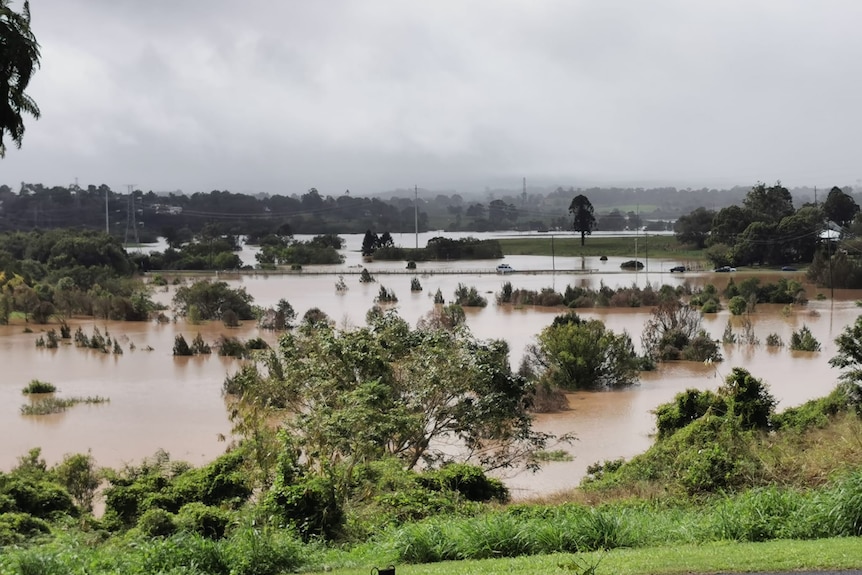 Flooding at Pengelley's Bridge in Gympie in the afternoon showing flood water to the tops of the trees