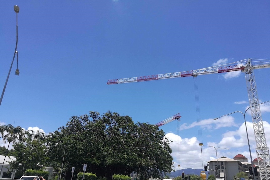 Cranes working next to lush trees which are home to a flying fox colony in Cairns