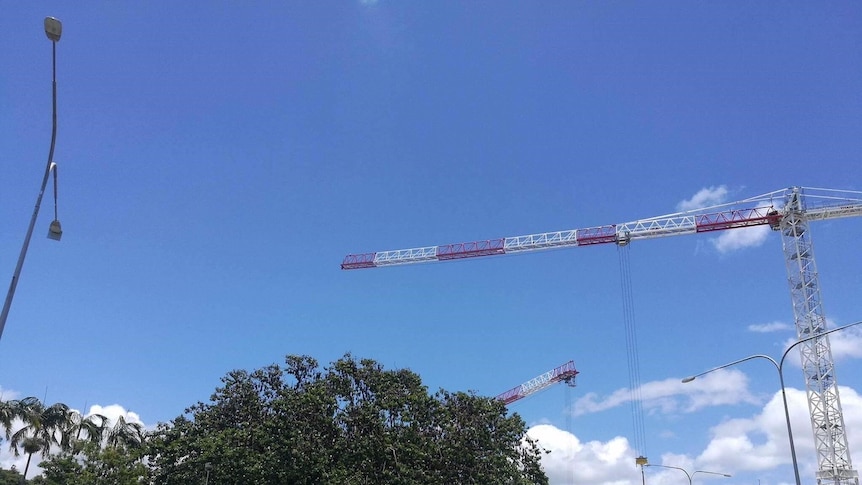 Cranes working next to lush trees which are home to a flying fox colony in Cairns