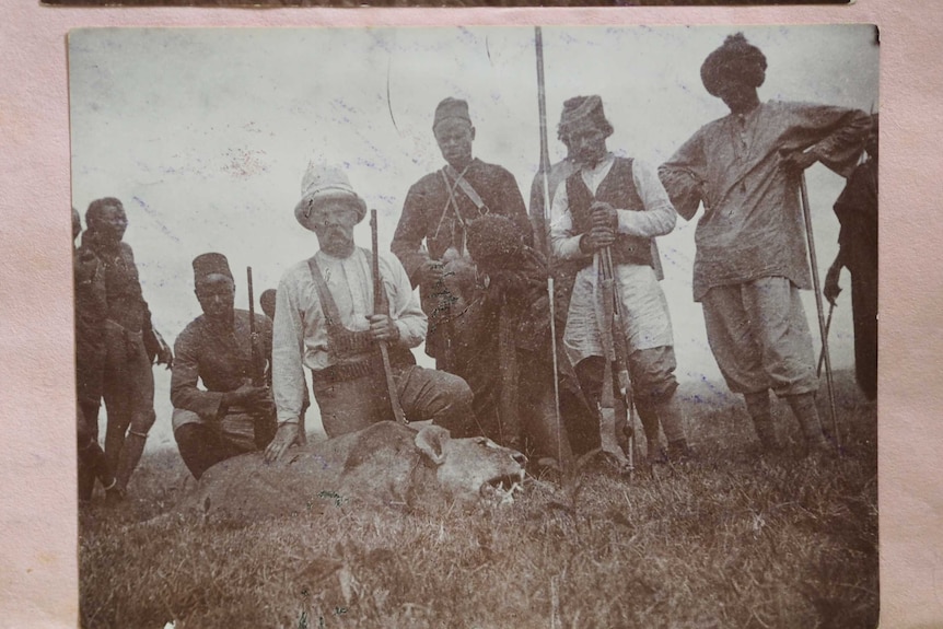 Photo of a group of hunters with a lion they have killed on safari in South Africa.