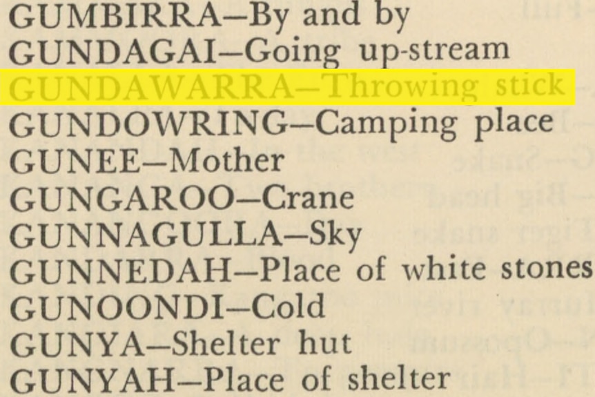 An excerpt of a dictionary with a list of Indigenous words.  