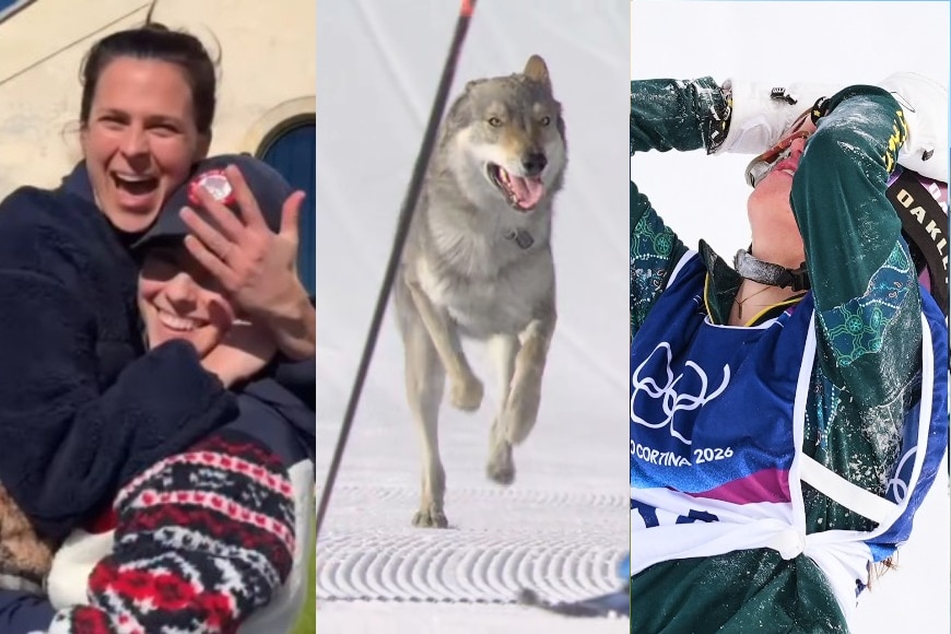 Quick hits: An Aussie's pain and a pooch invasion as US star pops the question