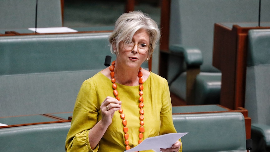 Helen Haines, wearing a mustard yellow top, speaking in the House of Representatives