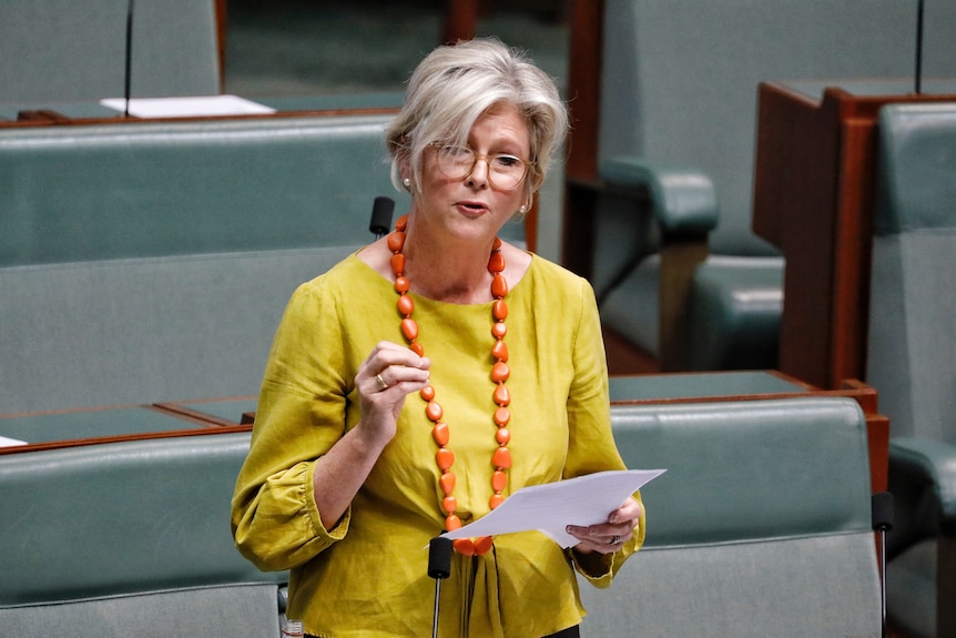 Helen Haines, wearing a mustard yellow top, speaking in the House of Representatives