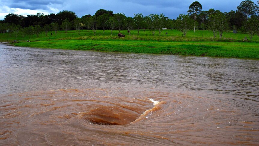 Whirlpool forms in a flooded Mary River.