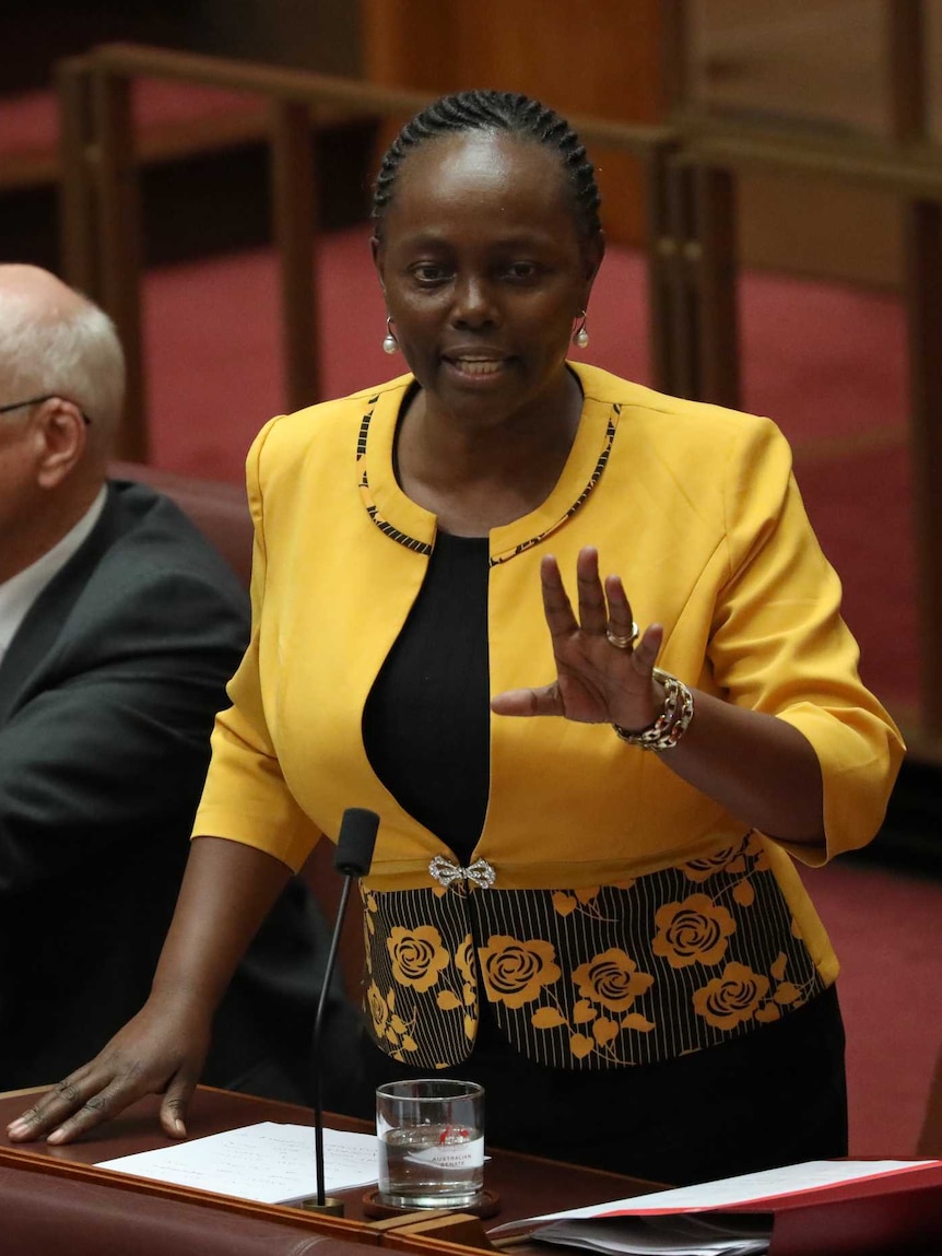 Lucy Gichuhi, wearing a bright yellow jacket, gestures with one hand as she stands up in her Senate spot.