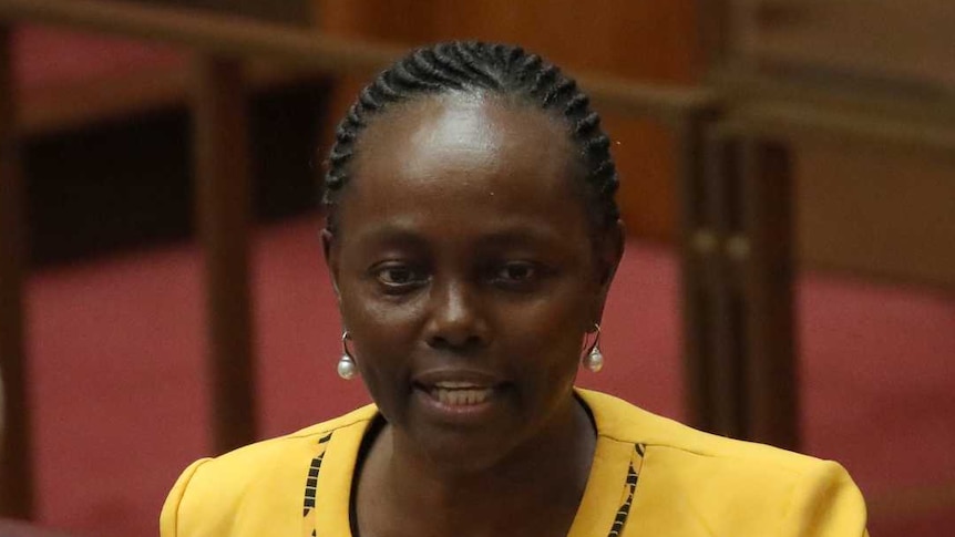 Lucy Gichuhi, wearing a bright yellow jacket, gestures with one hand as she stands up in her Senate spot.
