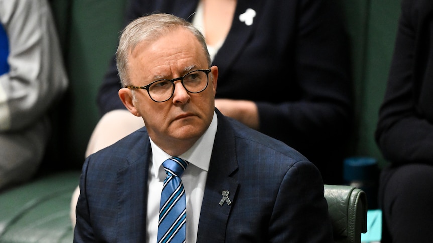 A man wearing dark rimmed glasses sits in parliament