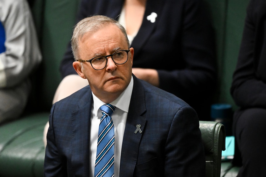 A man wearing dark rimmed glasses sits in parliament