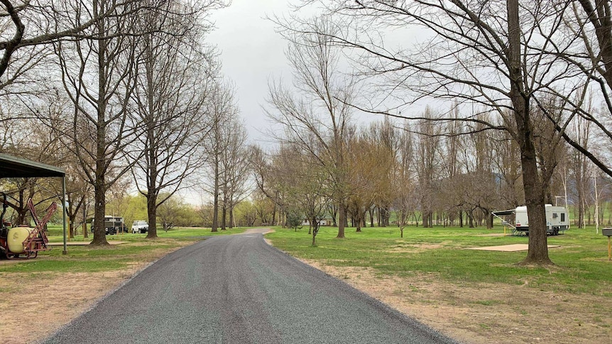 An empty caravan park in a beautiful bush setting under tall trees