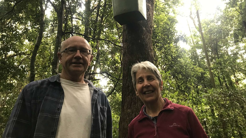 Paul Luthje and Susie Duncan look down at the camera with the wheelie bin high in a tree behind them.