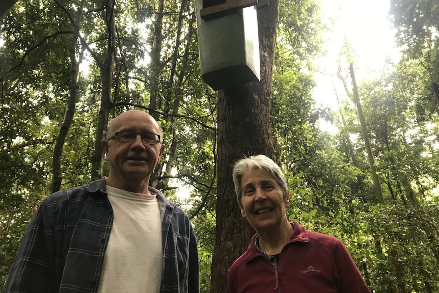 Paul Luthje and Susie Duncan look down at the camera with the wheelie bin high in a tree behind them.