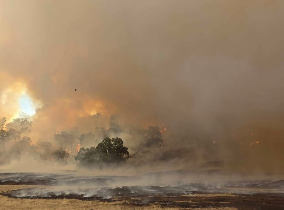 0d8c31a320bb7ffaea29b3240912375a?impolicy=wcms_crop_resize&cropH=635&cropW=952&xPos=0&yPos=35&width=862&height=575