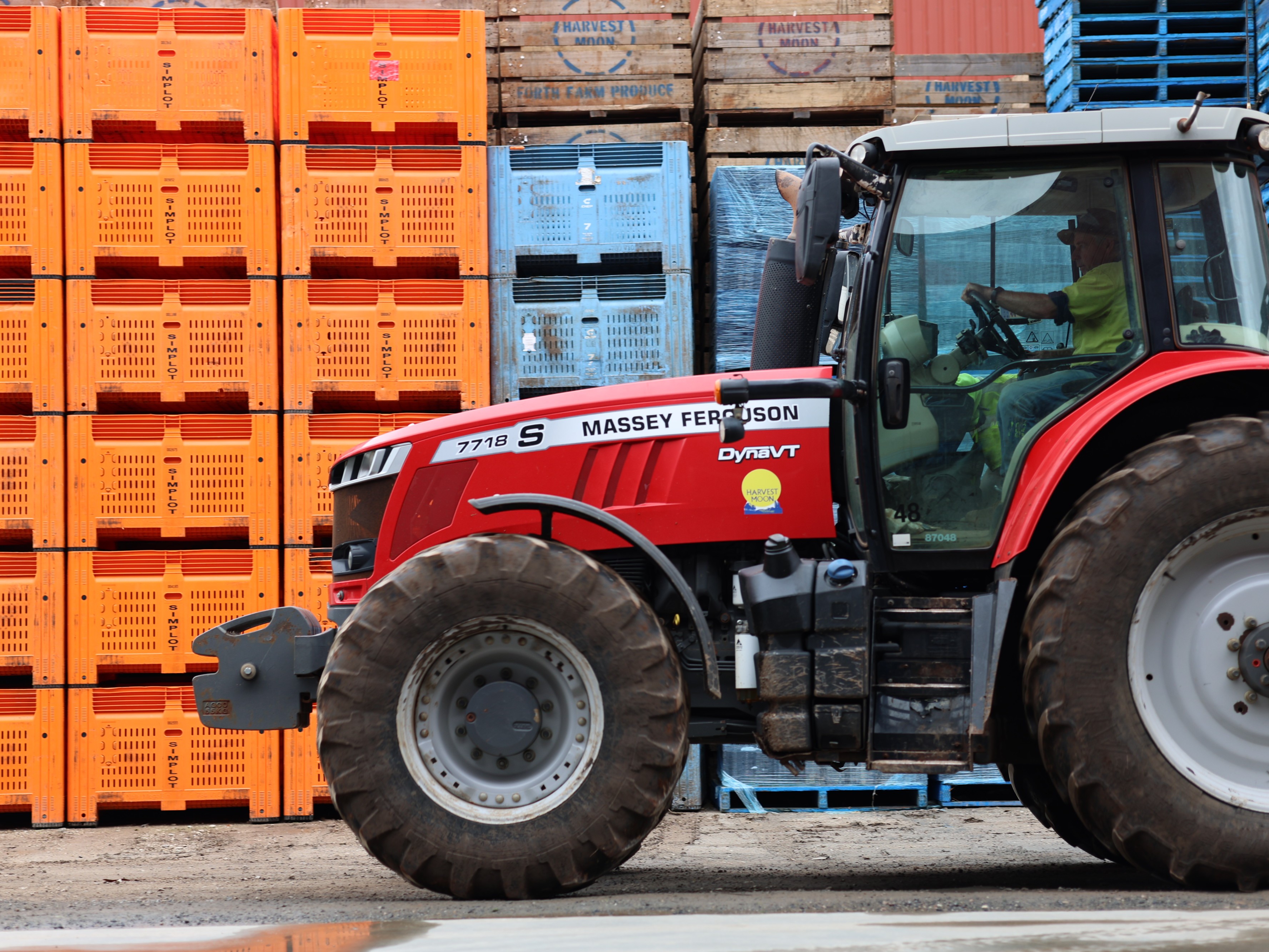 Un tractor rojo circula delante de hileras de palés de verduras