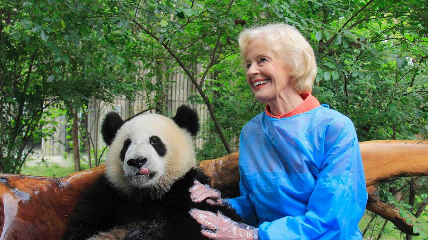 Quentin Bryce with a panda