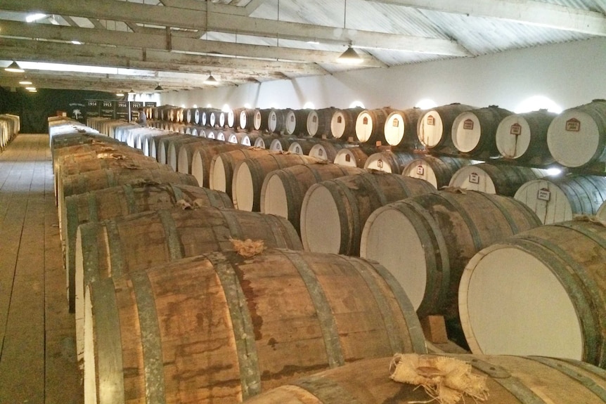 wine barrels