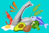 Illustrated protein foods (fish, meat, avocado) and a cropped image of a arm flexing it's bicep muscle.