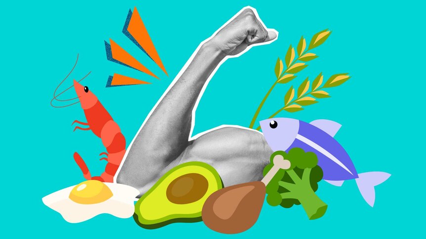 Illustrated protein foods (fish, meat, avocado) and a cropped image of a arm flexing it's bicep muscle.