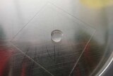 One droplet of liquid forming a circular mound is in the middle of a small rectangular piece of glass