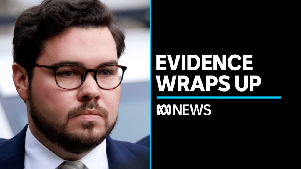 Evidence in Bruce Lehrmann's defamation hearing wrapped up - ABC News