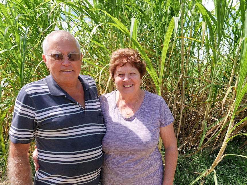 a man in a striped shirt and a woman stand with arms around each other in front of a cane field