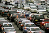 Traffic crawls in Sydney
