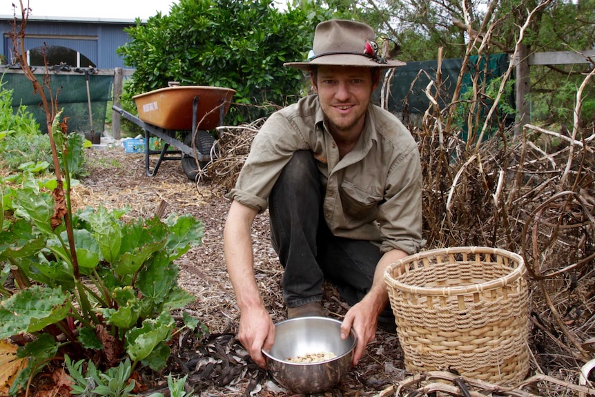 A man with a bowl of produce kneeling in a vegetable garden.
