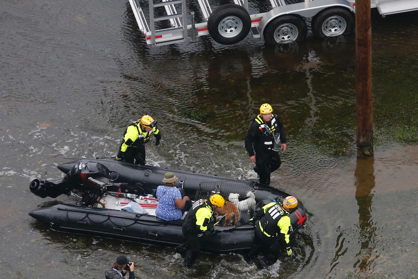 Rescue personnel use a small transport a flood victim and her animals to dry land