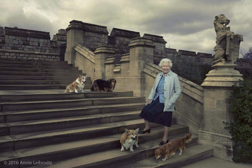The Queen photographed by Annie Leibovitz with her pet corgis.